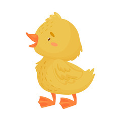 Cute yellow duckling is standing. Vector illustration on a white background.