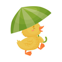 Cute yellow duckling under the umbrella. Vector illustration on white background.