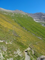 Nature, meadows and peaks that characterize the landscape of the Italian Alps in Val di Susa, near the town of "Susa", Piedmont - August 2019.
