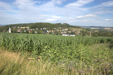 Fototapeta na wymiar rural landscape in east westphalia