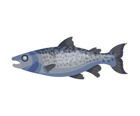 Whole fish. Vector illustration on white background.