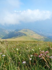 Nature, meadows and peaks that characterize the landscape of the Italian Alps in Val di Susa, near the village of "Susa", Piedmont - August 2019.