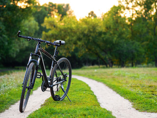 Fototapeta premium Mountain bike stands on a country dirt forest road at sunset