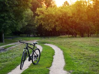 Mountain bike stands on a country dirt forest road at sunset