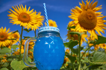 A glass of blue drink with straws among blooming yellow sunflowers. Field of sunflowers against the sky. Summer time