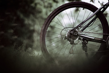 The rear wheel of a mountain bike close-up