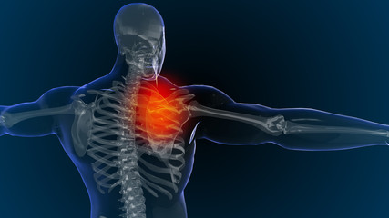 3d rendered illustration of  shoulder, back and neck pain 3D illustration