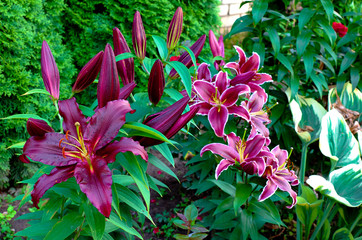 wonderful world around us