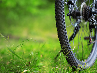 Close-up of Bicycle mud tire . Rear wheel of mountain bike