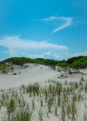 Protected Sand Dunes in Island Beach State Park, New Jersey