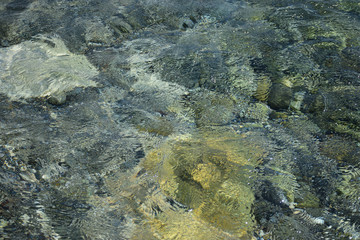 Stone bottom of the Mediterranean sea