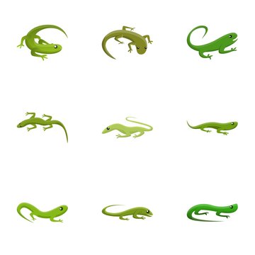 Tropical lizard icon set. Cartoon set of 9 tropical lizard vector icons for web design isolated on white background