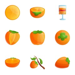 Tasty persimmon icon set. Cartoon set of 9 tasty persimmon vector icons for web design isolated on white background