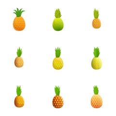 Vitamin pineapple icon set. Cartoon set of 9 vitamin pineapple vector icons for web design isolated on white background