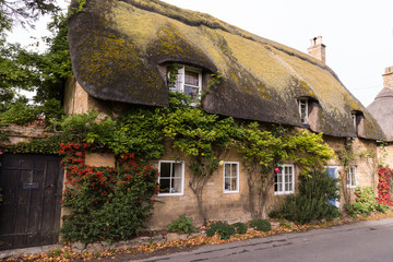 Traditional English Thatched Roof Cottage Ivy Covered