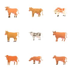 Brown cow icon set. Cartoon set of 9 brown cow vector icons for web design isolated on white background