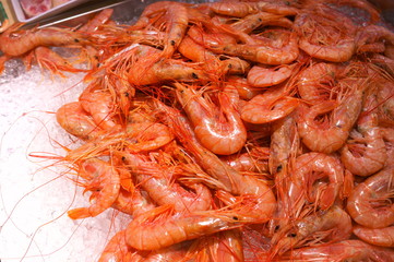 Fresh shrimp chilled in ice