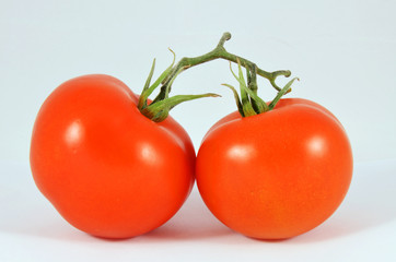 tomatoes on branch isolated on white