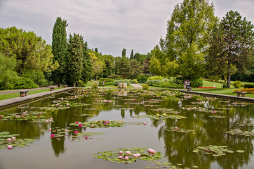 Obraz na płótnie Canvas pond in the garden