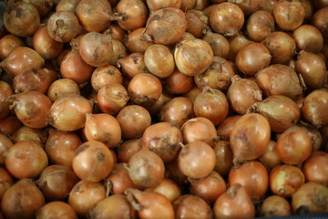 onions at the market