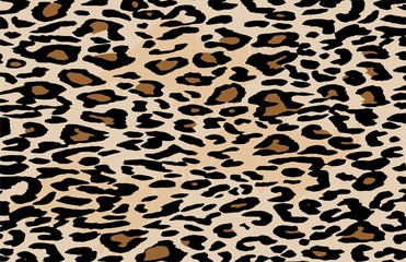 Brown Skin Leopard Pattern