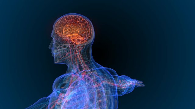 3d rendered illustration of  brain tumor and brain disease 3D illustration