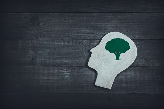 Human head and face with green tree sign on wood table background. Brain of thinking about green nature , Symbol of Process and Positive Mind concept