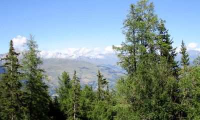 Paysage de montagne en été, avec végétation au premier plan et massif alpin et ciel bleu.