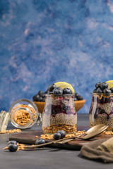 Chia pudding with blueberries