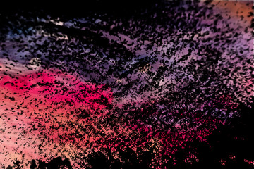 Beautiful colorful pink and purple glitter texture on the black background and light glitter sparkle confetti gray pink grainy abstract texture on a black background and wallpaper