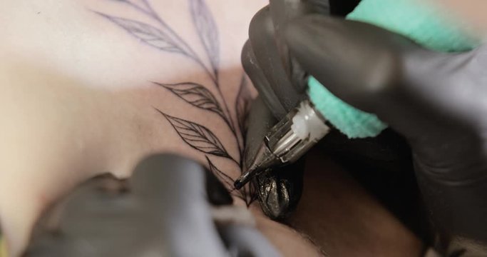 Body art image with nature pattern. Creating new black tattoo. Tatto master is finishing to paint tattoo with leaves, hands in gloves closeup. She using professional tattooing machine works in salon.