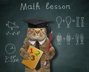The cat teacher in a square academic cap and black tie with a book and a pencil gives math lesson...