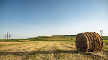 Fototapeta premium Hay Bale in the middle of a field,agriculture time
