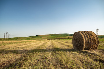 Hay Bale in the middle of a field,agriculture time