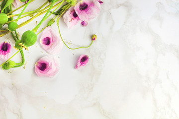 Purple lilac poppy flowers bouquet and green poppy seed heads bud and petals cute gentle romance flat lay frame top view on marble background with free copy space for text
