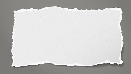 Piece of torn white horizontal grainy paper strip with soft shadow is on dark grey background. Vector illustration