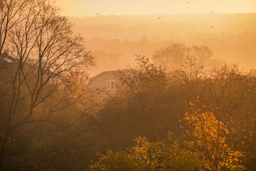 autumn morning, sunrise, sun rays