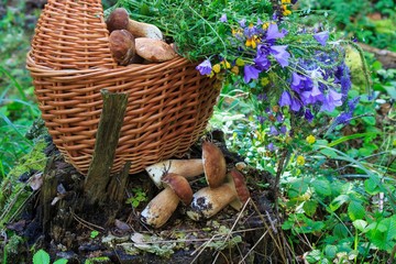 Outdoor still life with mushrooms and bouquet wild flowers