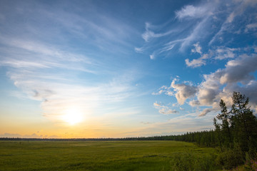 sunset over green field