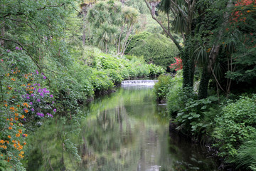 Fototapeta na wymiar Lush gardens at Mount Usher in Co. Wicklow, Ireland
