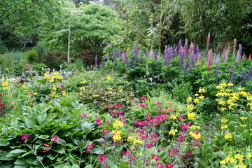 Lush gardens at Mount Usher in Co. Wicklow, Ireland