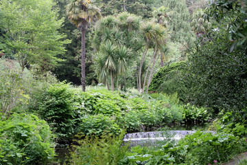 Fototapeta na wymiar Lush gardens at Mount Usher in Co. Wicklow, Ireland