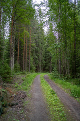 Fototapeta na wymiar Finnish gravel road