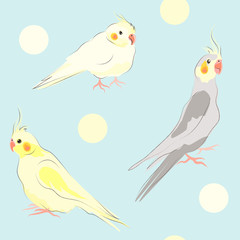 Seamless vector pattern with cute yellow and gray parrots. 