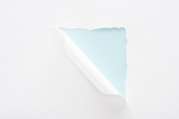 white torn and rolled paper on light blue background