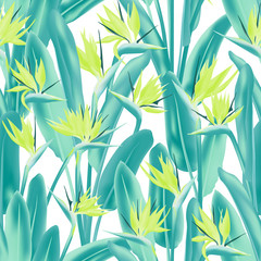 Strelitzia reginae tropical flower vector seamless pattern. Bohemian tropical plant fabric print design. South African plant tropical blossom of crane flower, strelitzia. Floral wallpaper.