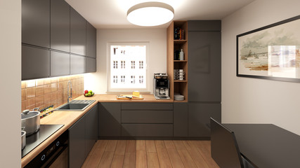 Modern kitchen gray