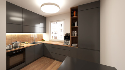Modern gray kitchen