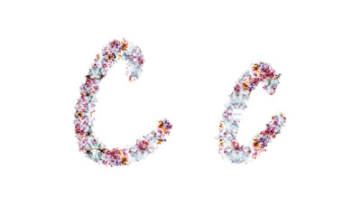 Flower alphabet. Colorful font. Uppercase, lowercase and numbers.