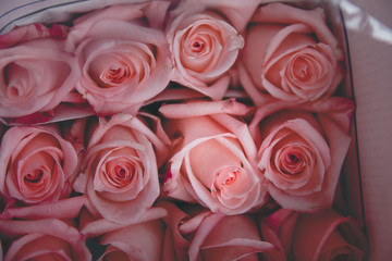 bouquet of pink roses